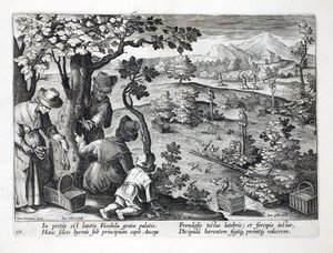 Vogelvangers die uilen en vermomming gebruiken om vijgenpikkers te vangen, illustratie uit 